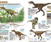 深入探索：魔力百科网中的未解之谜