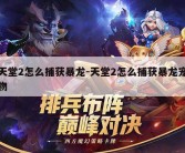 天堂2怎么捕获暴龙-天堂2怎么捕获暴龙宠物