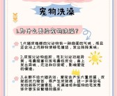 魔力宝贝宠物算档器新手教程：新手必看，轻松入门宠物培养！