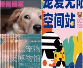 开启宠物之旅：探索魔法世界的奇幻之旅