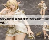 天堂2暴君练级怎么样啊-天堂2暴君一转转什么