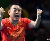 传奇之路：成就不朽的宠物传说