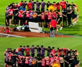 众志成城：与好友并肩作战，征服一切挑战