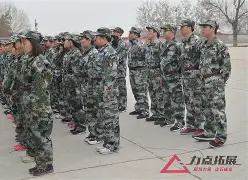 打造强大防线：构建无敌宝贝战队