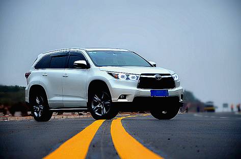 征服挑战路途：展现宠物训练师的实力与智慧