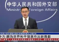 守护和平使命:成为魔法世界的守护者 守护和平使命:成为魔法世界的守护者