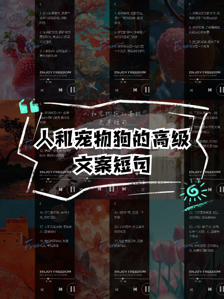 默契配合：培养宠物团队间的完美协作